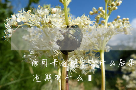 信用卡逾期了有什么后果嚴重(銀行卡信用卡逾期有什么辦)