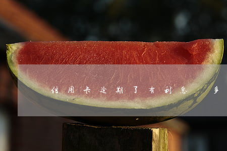 信用卡逾期了有利息嗎多少錢
