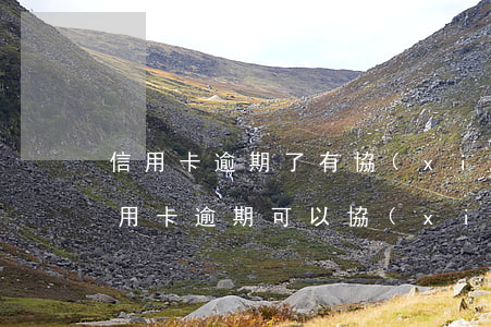 信用卡逾期了有協(xié)商的可能嗎(信用卡逾期可以協(xié)商嗎)