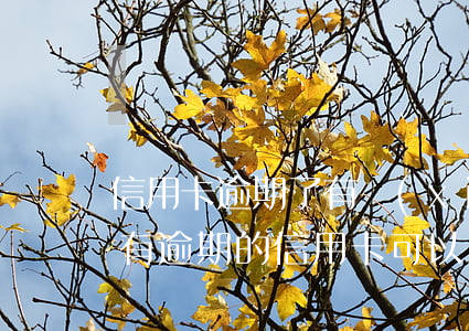信用卡逾期了有協(xié)商的可能嗎(沒有逾期的信用卡可以協(xié)商還款嗎)