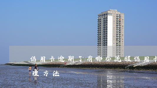 信用卡逾期了有哪些流程(信用卡逾期怎么处理方法)