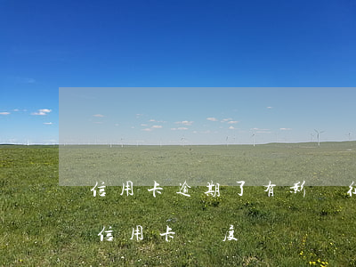 信用卡逾期了有影響征信嗎(征信有逾期影響信用卡額度嗎)
