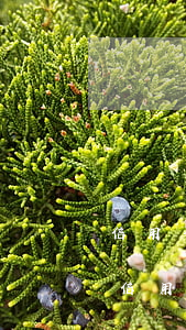 信用卡逾期了有還款渠道-逾期還款后注銷信用卡