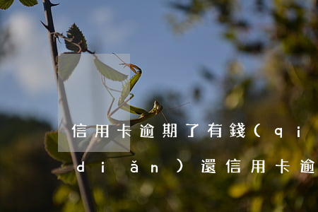信用卡逾期了有錢(qián)就還一點(diǎn)(還信用卡逾期一天沒(méi)事吧)
