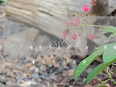 信用卡逾期了本人有重大疾病(發(fā)生過信用卡逾期)