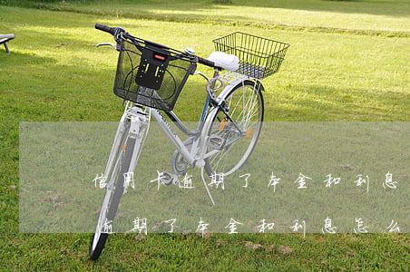 信用卡逾期了本金和利息怎么算的-信用卡逾期了本金和利息怎么算的呢