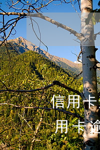 信用卡逾期了查詢不到賬單了 哪里可以查信用卡逾期記錄