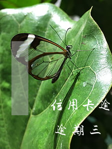 信用卡逾期了欠款1萬3(信用卡欠了1萬多逾期三個月了)