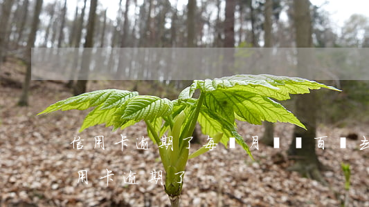 信用卡逾期了每個月還幾百進去-好幾個信用卡逾期了