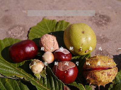 信用卡逾期了每天還一點(diǎn)(信用卡逾期我可以有一點(diǎn)還一點(diǎn)嗎)