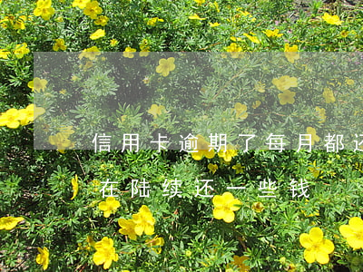信用卡逾期了每月都还款(信用卡逾期了但还在陆续还一些钱)