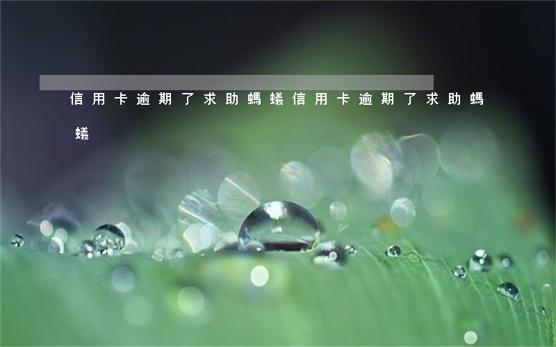 信用卡逾期了求助螞蟻(信用卡逾期了求助螞蟻)