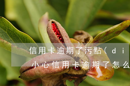 信用卡逾期了污點(diǎn)怎么消除(不小心信用卡逾期了怎么恢復(fù))