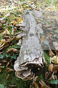 信用卡逾期了沒(méi)錢(qián)還會(huì)怎么樣