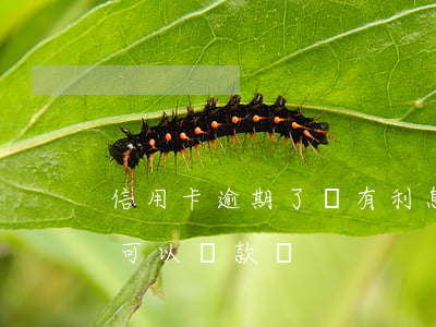 信用卡逾期了沒有利息(有信用卡欠款沒逾期可以貸款嗎)