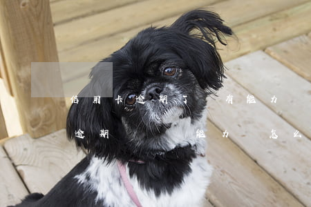 信用卡逾期了沒有能力還怎么辦-欠信用卡逾期確實沒能力還怎么辦