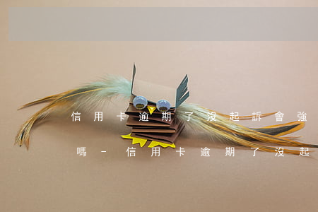信用卡逾期了沒起訴會強制執(zhí)行嗎-信用卡逾期了沒起訴會強制執(zhí)行嗎知乎