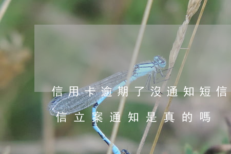 信用卡逾期了沒通知短信(信用卡逾期收到短信立案通知是真的嗎)