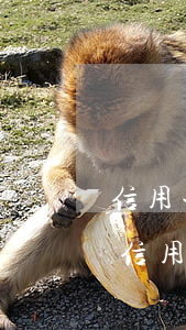 信用卡逾期了沒錢還怎么辦,工作有影響嗎-信用卡逾期了沒錢還怎么辦,工作有影響嗎知乎