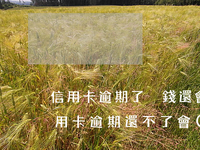 信用卡逾期了沒錢還會(huì)坐牢嗎(信用卡逾期還不了會(huì)坐牢嗎)