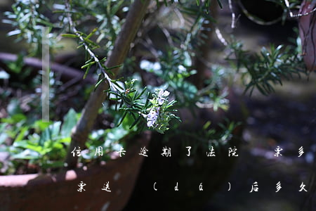 信用卡逾期了法院傳票多久開庭(欠信用卡傳票送達(dá)后多久開庭,不去可以嗎)