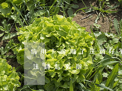 信用卡逾期了注銷好不好(信用卡逾期被銀行注銷怎么辦)