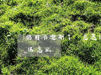 信用卡逾期了減息退保(信用卡逾期了減息退保怎么辦)