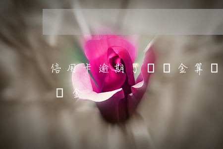 信用卡逾期了滯納金算幾次-信用卡 逾期 滯納金