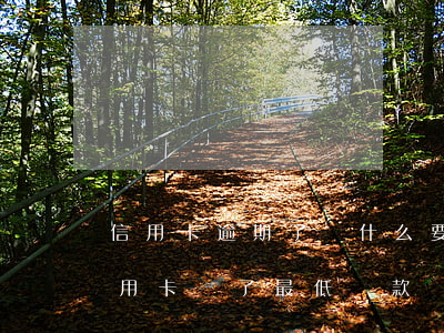 信用卡逾期了為什么要還最低還款 為什么信用卡還了最低還款還說逾期
