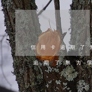 信用卡逾期了無力償還后果怎么樣-信用卡逾期了無力償還后果怎么樣呢