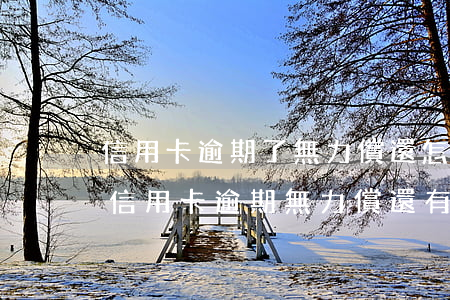 信用卡逾期了無力償還怎么協(xié)商(信用卡逾期無力償還有怎么辦)