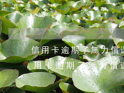 信用卡逾期了無力償還怎么辦會坐牢嗎-信用卡逾期了無力償還怎么辦會坐牢嗎?