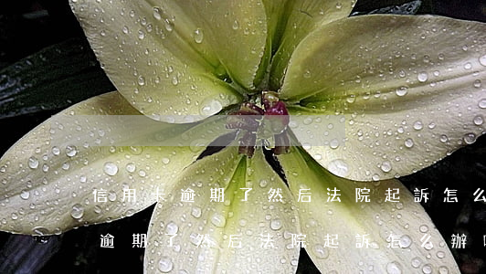 信用卡逾期了然后法院起訴怎么辦-信用卡逾期了然后法院起訴怎么辦呢