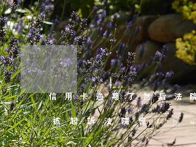 信用卡逾期了然后法院起訴怎么辦(欠信用卡被起訴法院會(huì)怎么處理)