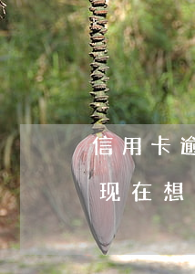 信用卡逾期了现在想一次还清(信用卡逾期了现在想一次还清怎么还款)