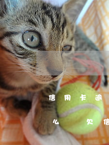 信用卡逾期了現(xiàn)在還不起了怎么辦(欠信用卡逾期還不上怎么辦)