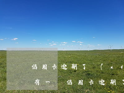 信用卡逾期了現(xiàn)在隨便還了點(有一張信用卡逾期了怎么辦)