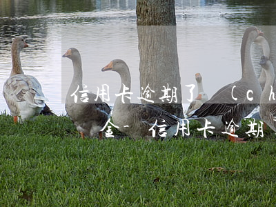信用卡逾期了產(chǎn)生了利息和滯納金-信用卡逾期了產(chǎn)生了利息和滯納金怎么辦