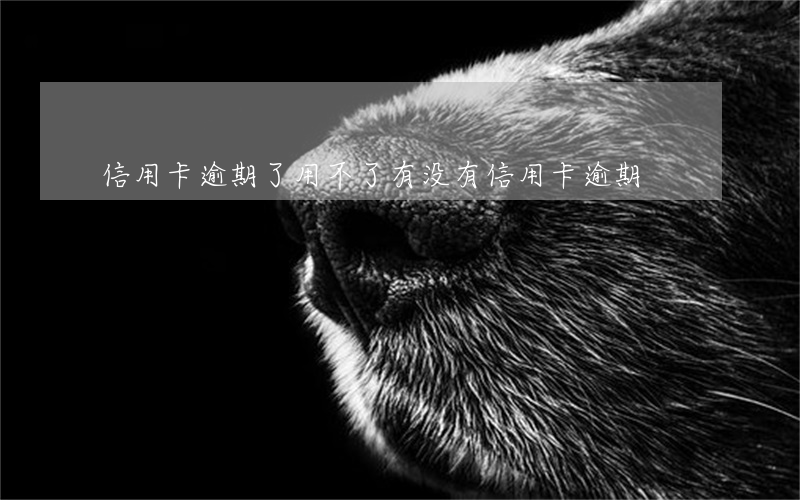 信用卡逾期了用不了(有没有信用卡逾期)
