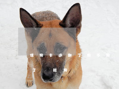 信用卡逾期了用不用還-為什么信用卡逾期了還能用