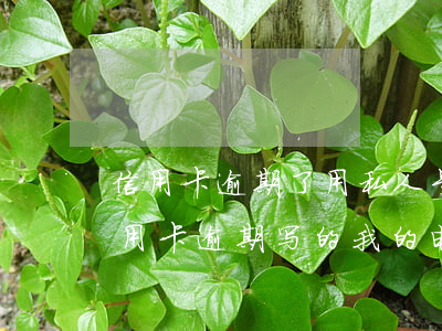 信用卡逾期了用私人号码发信息给我(别人信用卡逾期写的我的电话)