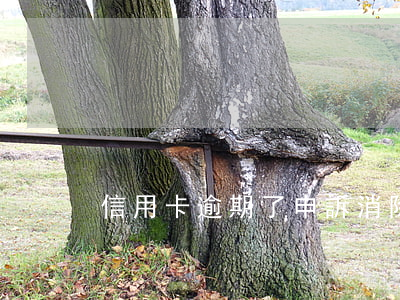 信用卡逾期了申訴消除(信用卡 逾期 撤銷)