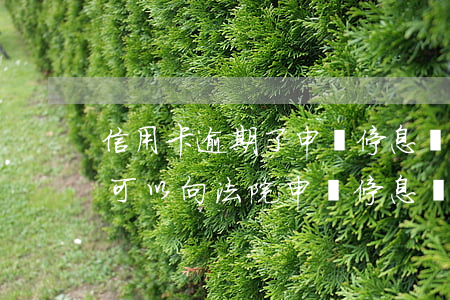 信用卡逾期了申請停息掛賬(欠信用卡還不上可以向法院申請停息掛賬嗎)