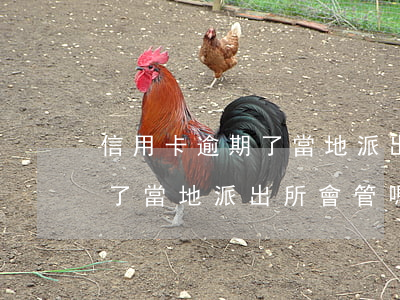 信用卡逾期了當地派出所會管嗎(信用卡逾期了當地派出所會管嗎)