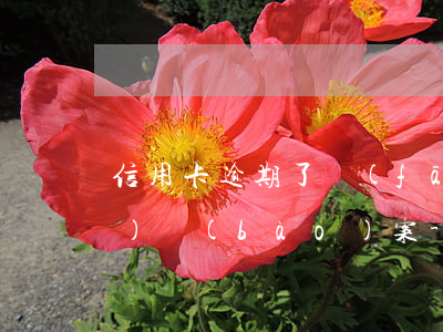 信用卡逾期了發(fā)信息說(shuō)報(bào)案-派出所打電話說(shuō)信用卡逾期銀行報(bào)案