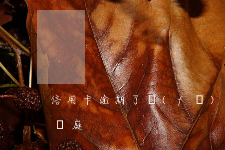 信用卡逾期了發(fā)信息開庭 欠信用卡開庭