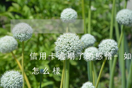 信用卡逾期了的感悟-如果說信用卡逾期會怎么樣