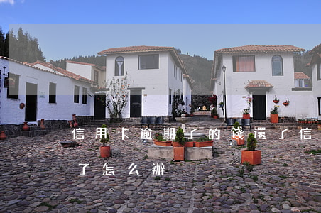 信用卡逾期了的錢還了(信用卡逾期了的錢還了怎么辦)