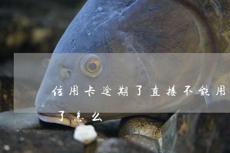 信用卡逾期了直接不能用(信用卡逾期不能用了怎么辦)