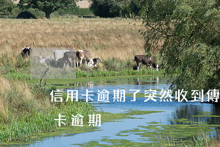信用卡逾期了突然收到傳票(收到短信說信用卡逾期)